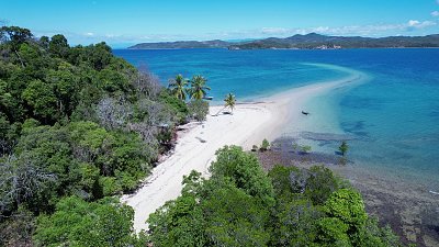 forest and sand spit