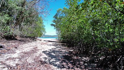 walk around the island